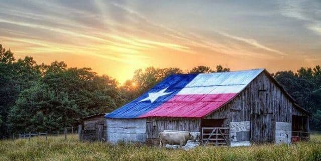 Texas statewide guide